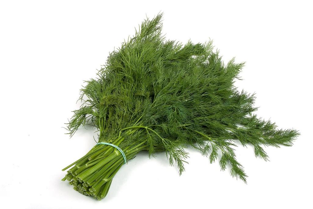 Укроп свежий, 1 кг