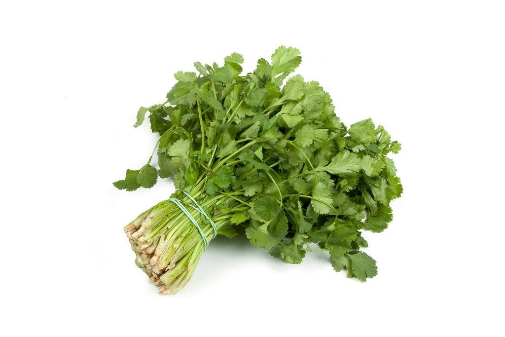 Кинза свежая, 1 кг