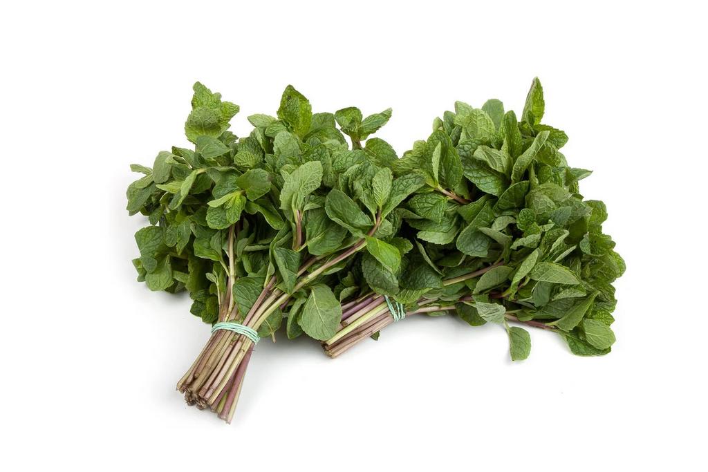 Мята свежая, 200 г