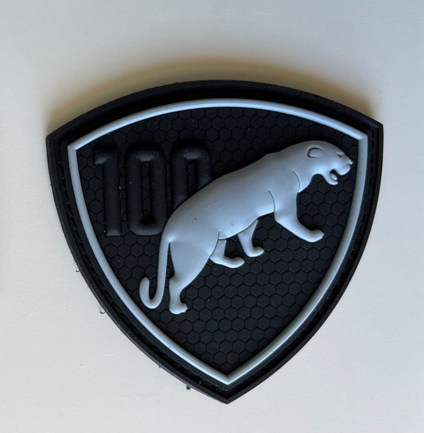 100 лет дивизии