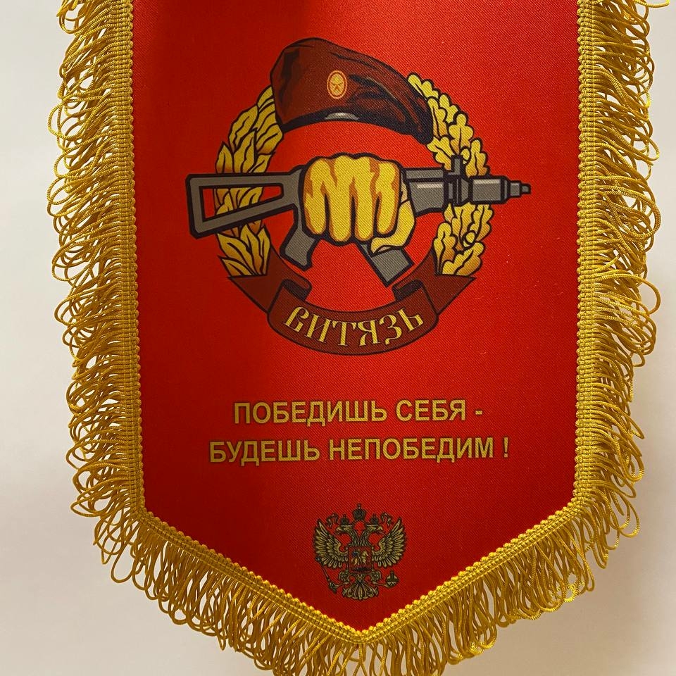 Вымпел "Витязь" тканевый 30х20 см