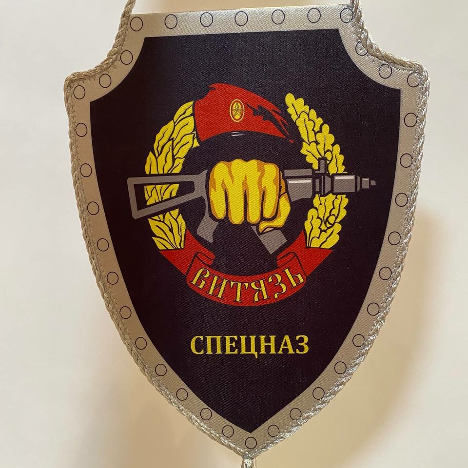 Вымпел Витязь ЩИТ 23х14,5 см