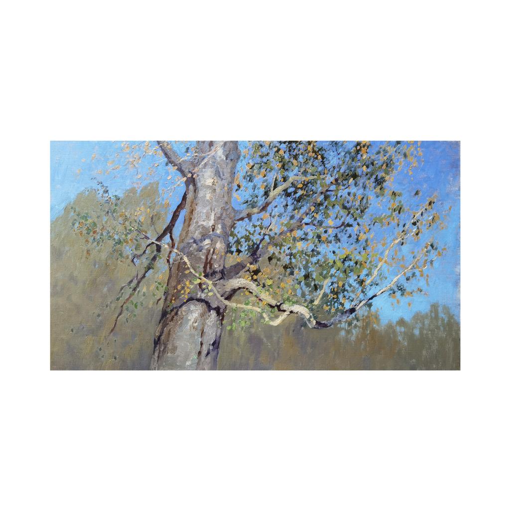 Миллионщица