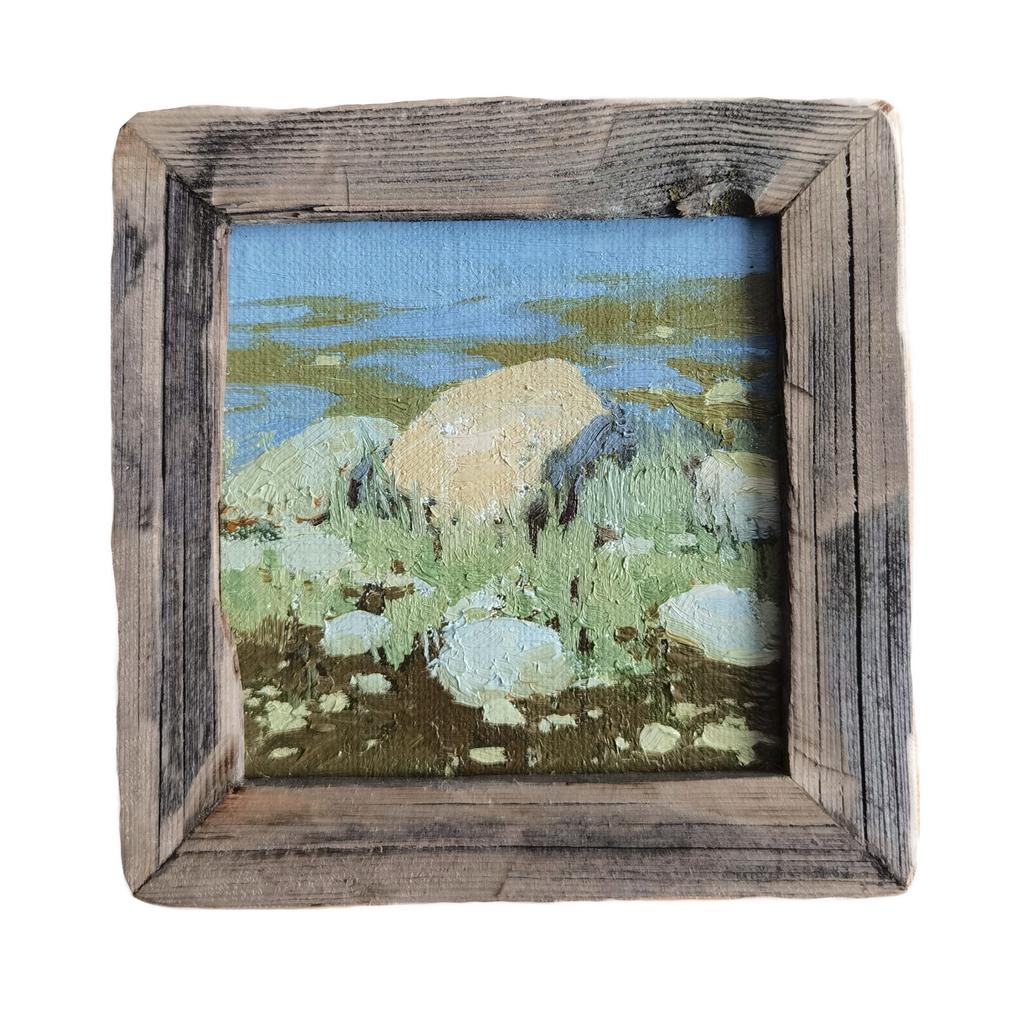 Берег Белого моря