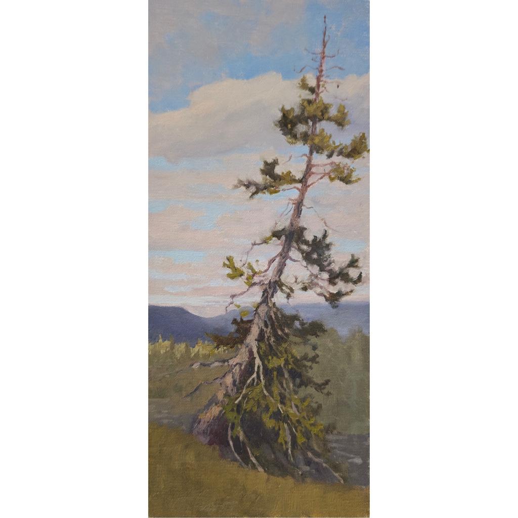 Долина Куэльпорр