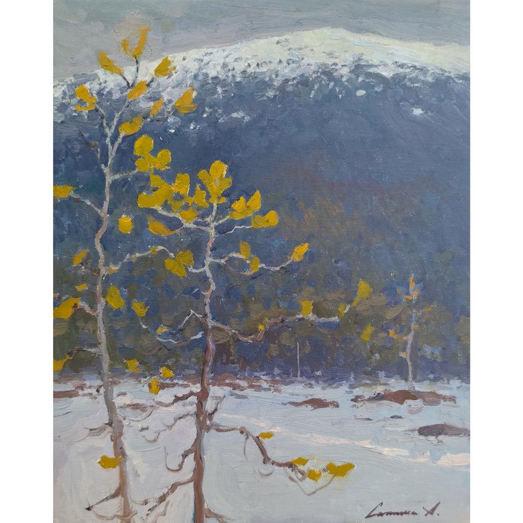 с. Лувеньга