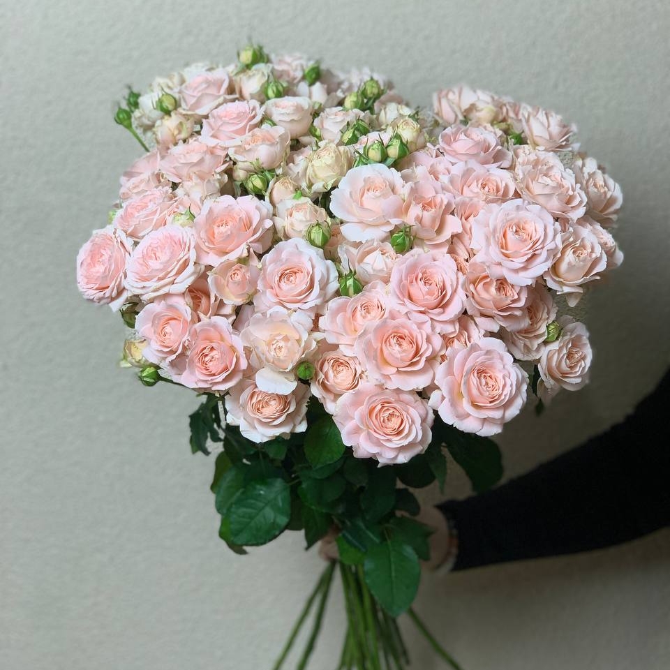 Роза персиковая кустовая