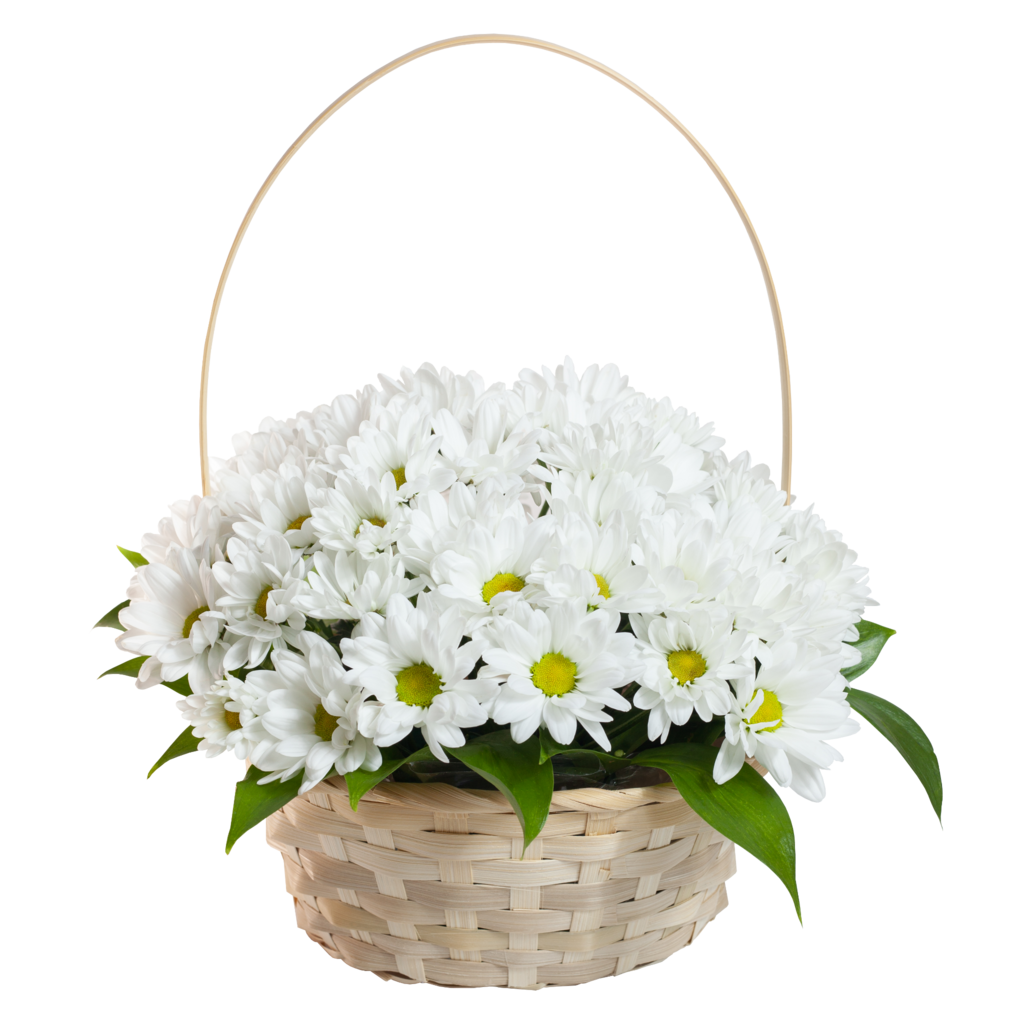 Корзина с ромашками