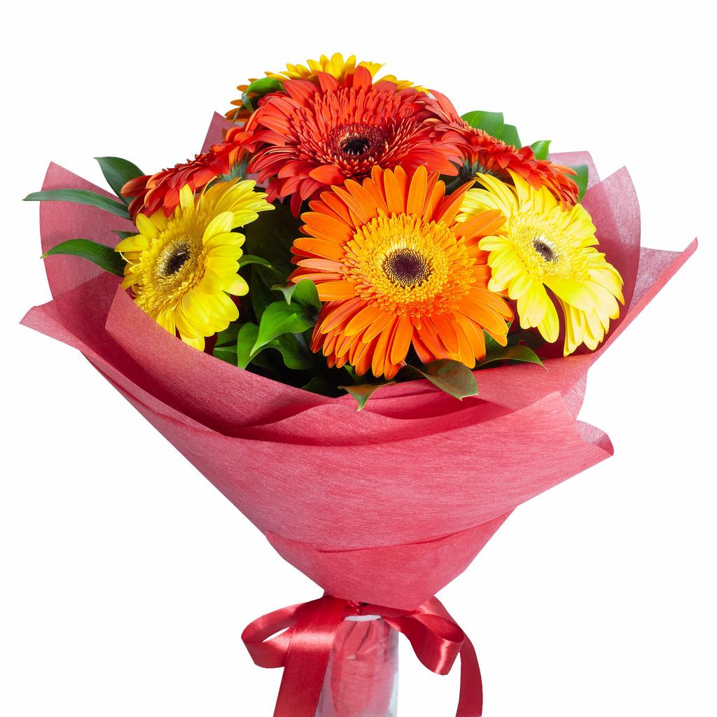 Букет из 7  ярких гербер