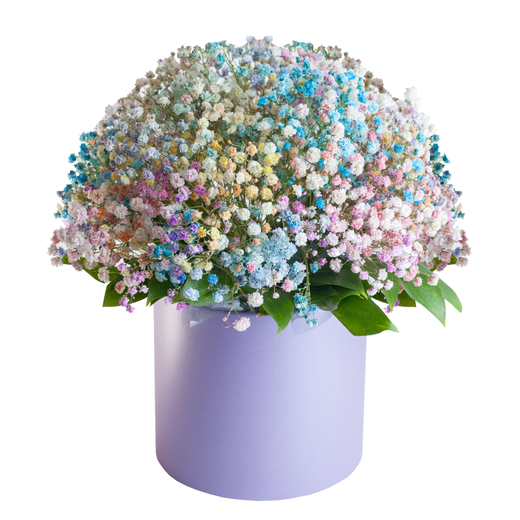 Гипсофила в коробке (размер M)