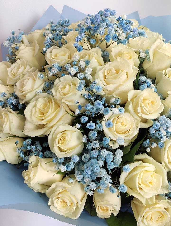 Букет 51 белая роза с гипсофилой