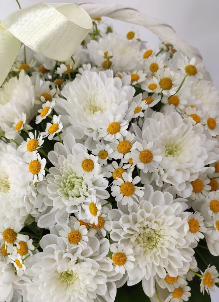 Корзина с хризантемами и ромашкой