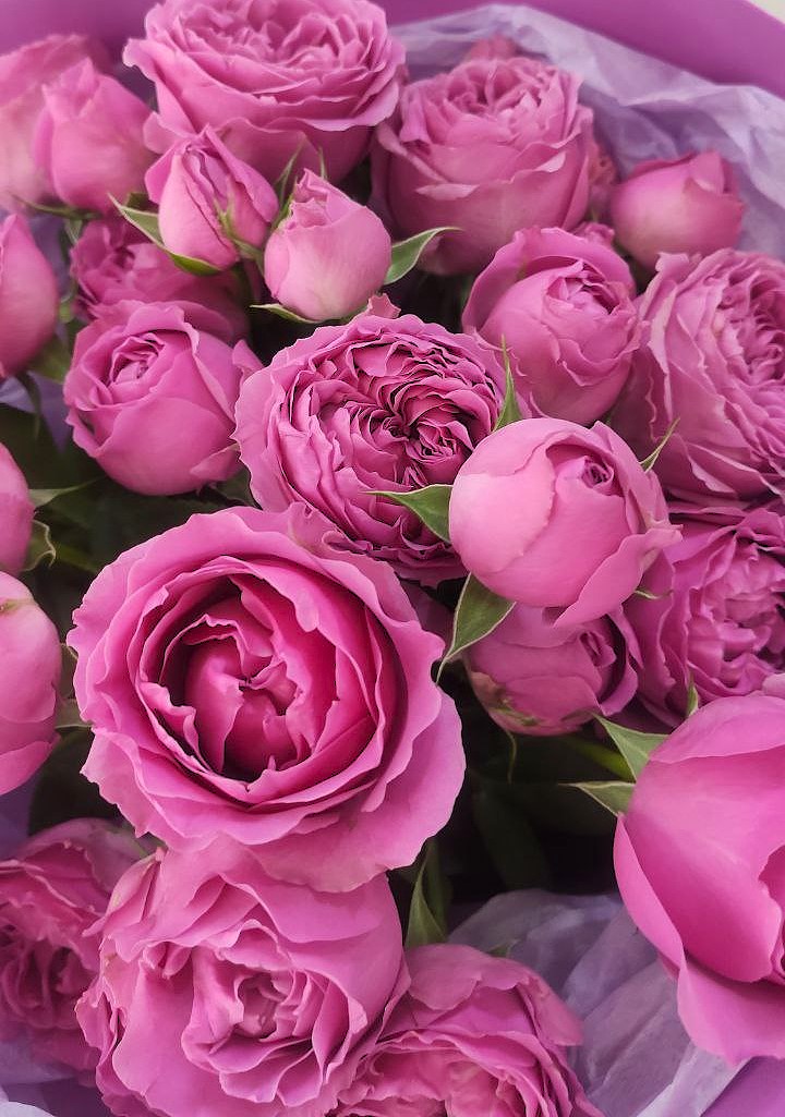 Букет пионовидных роз