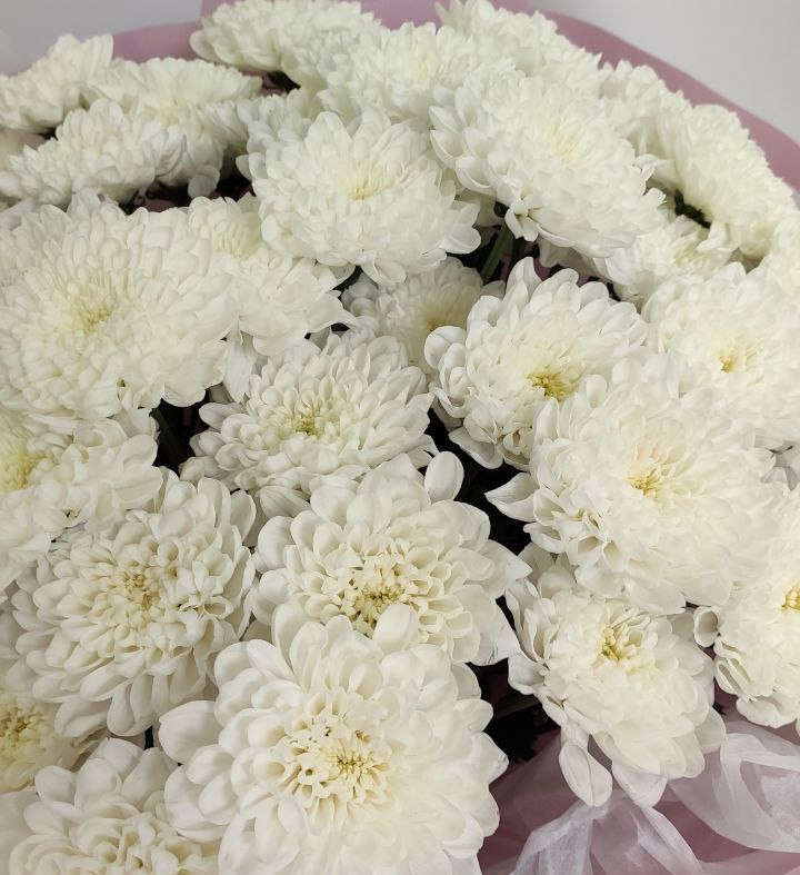 Букет из 9 хризантем