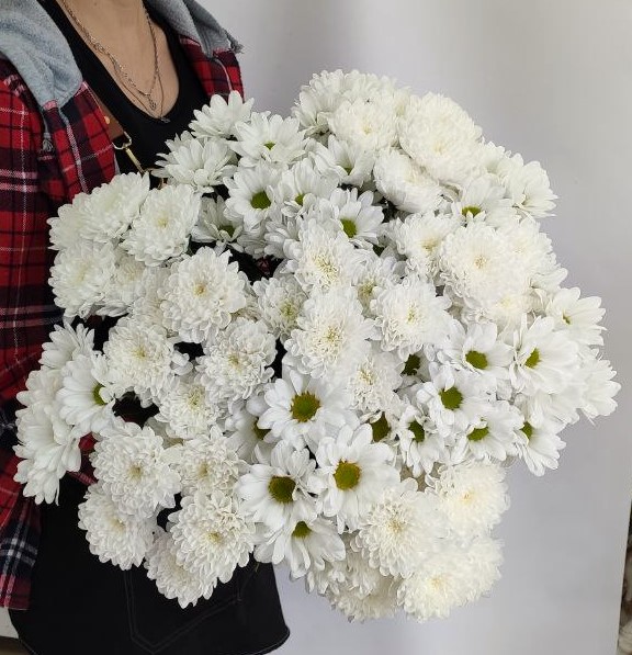 Букет из 15 хризантем