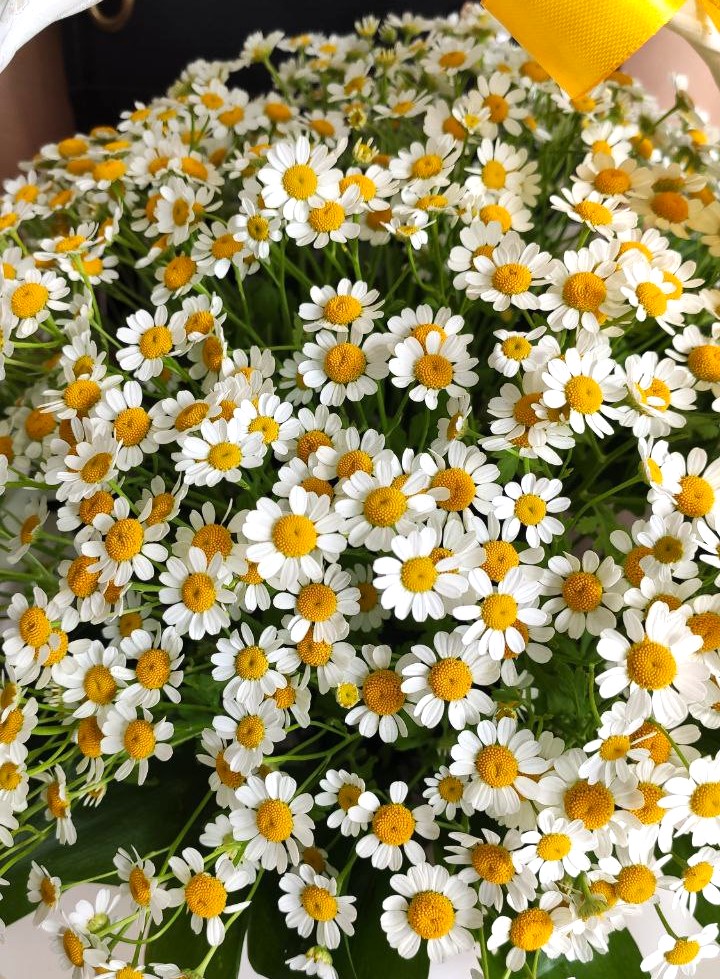 Корзина с мелкой ромашкой