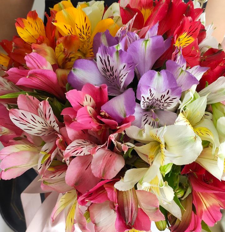 Композиция с альстромериями