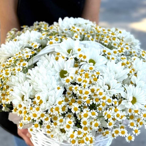 Корзина с разными ромашками