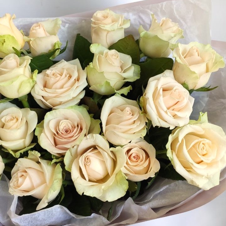 Букет 19 роз