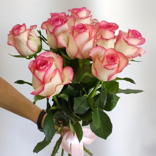 Розы в Геленджике, розы джумилия, розовые розы, доставка цветов в Геленджике, розы