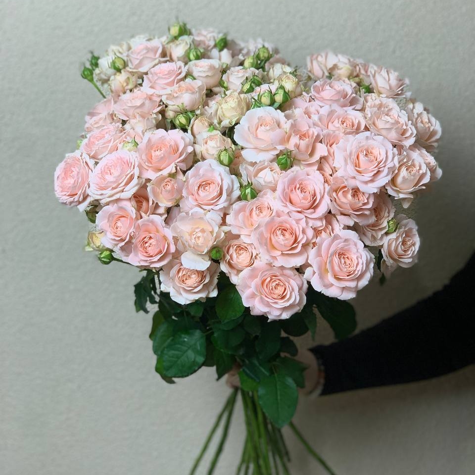 Букет 13 кустовых роз