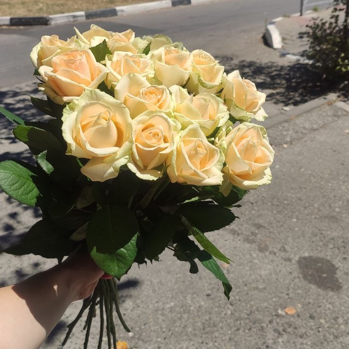 Букет 15 персиковых роз