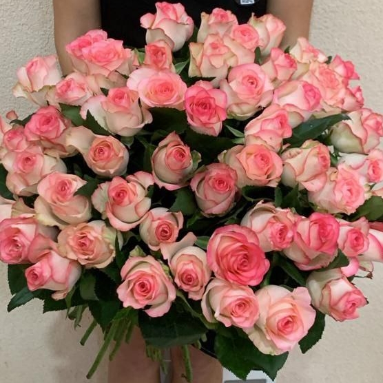 51 розовая роза