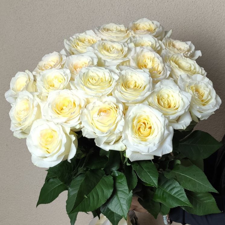 21 пионовидная роза