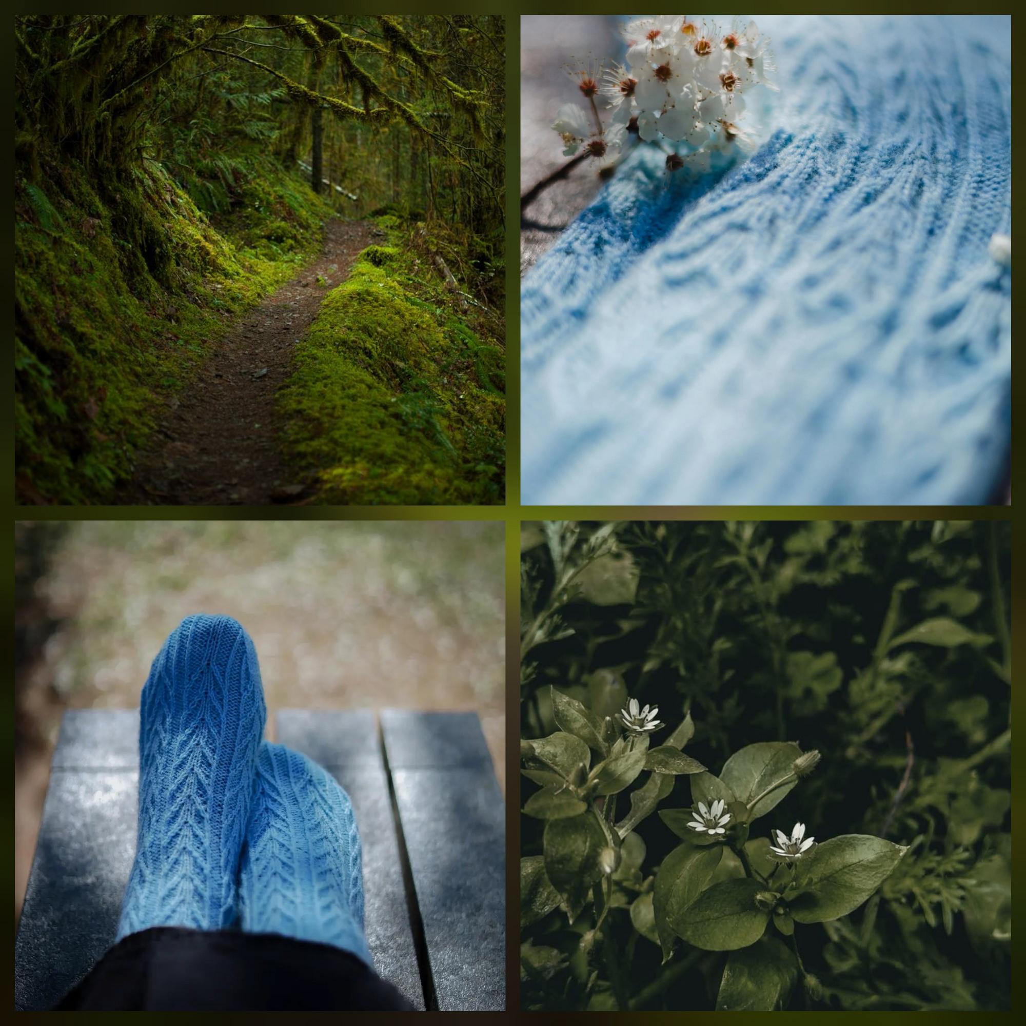 Зачарованные носки