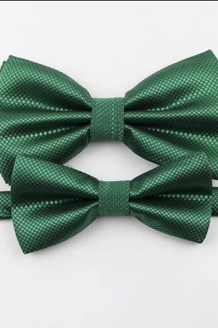 Бабочка зеленый Арт.10