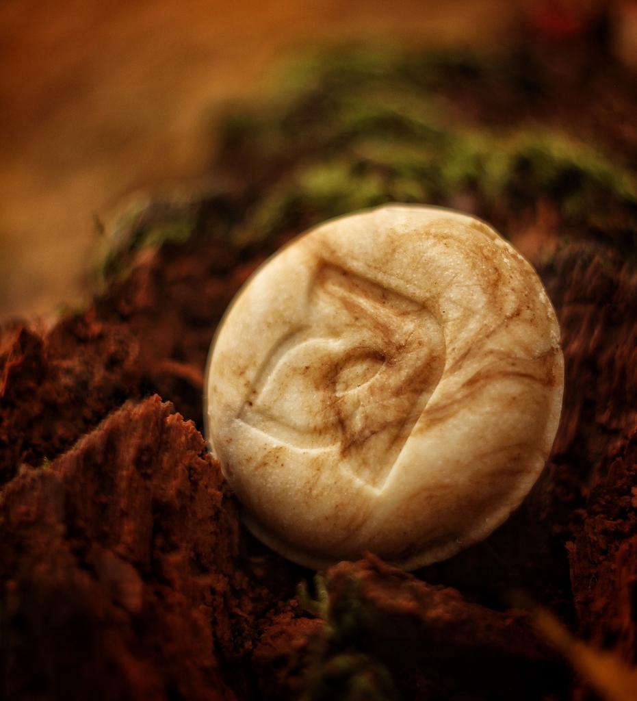 Твёрдый шампунь Шикакай