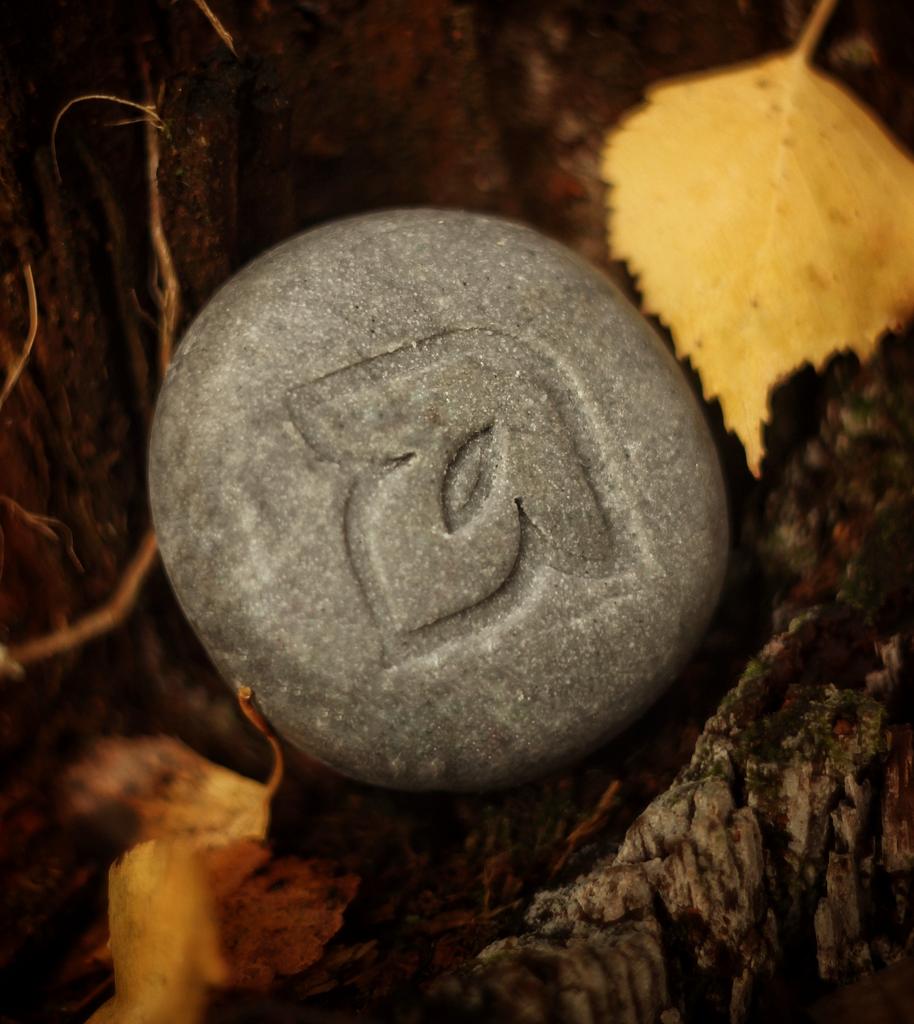 Твёрдый шампунь Уголь