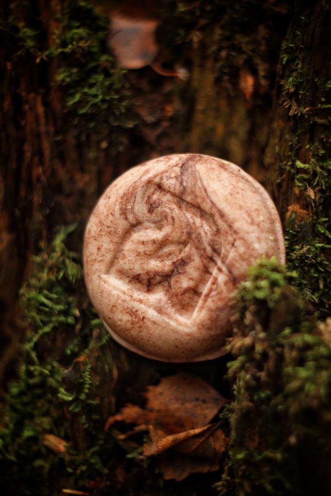 Твёрдый шампунь Лаванда