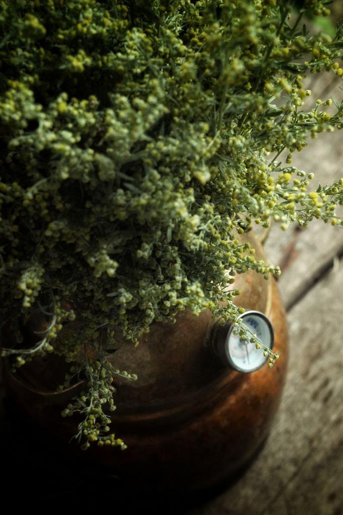 Гидролат полыни горькой