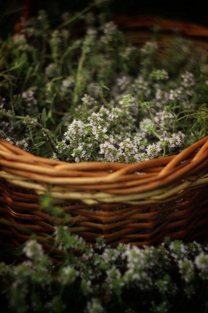 Гидролат чабреца