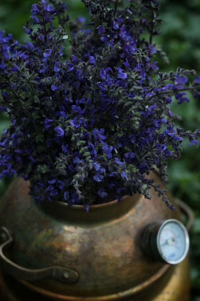 Гидролат шалфея