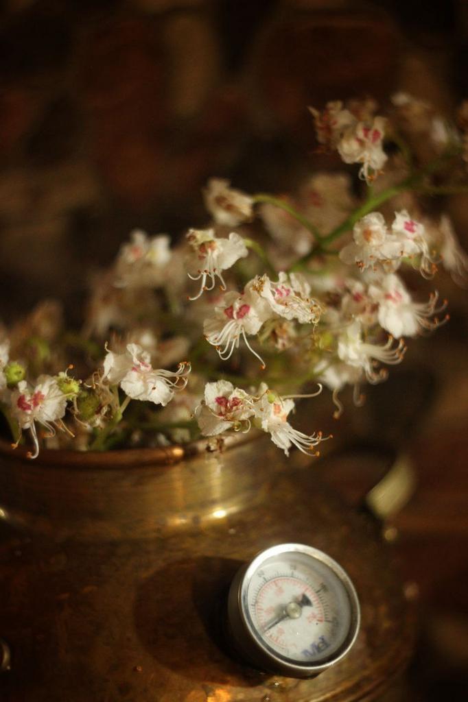 Гидролат каштана