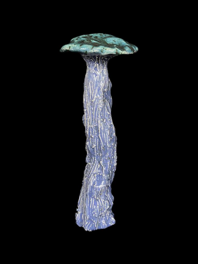 Объект из серии "fantastic mushroom"