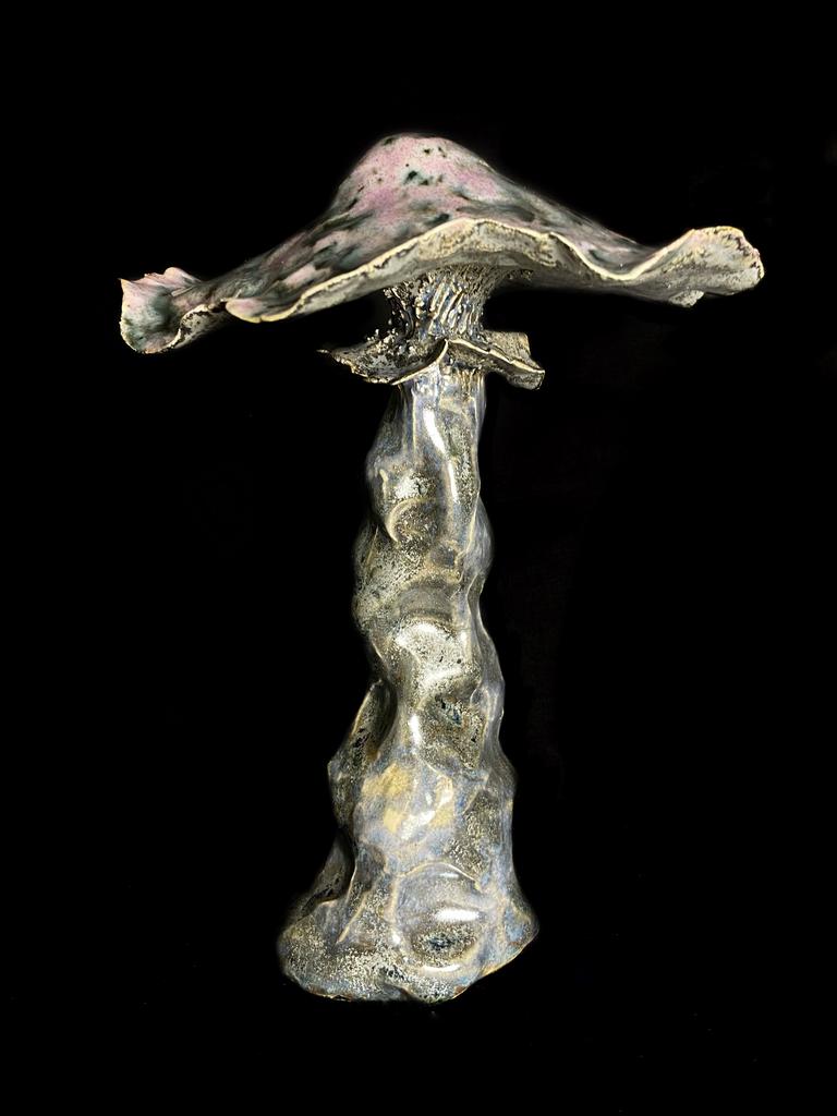 Объект из серии "fantastic mushroom"