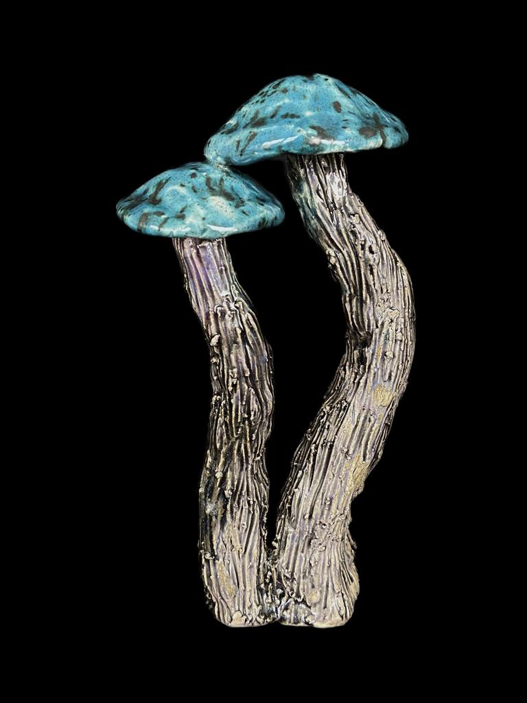 Объект из серии "fantastic mushroom"