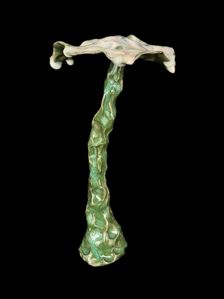 Объект из серии "fantastic mushroom"