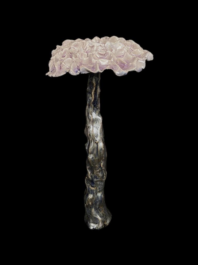 Объект из серии "fantastic mushroom"