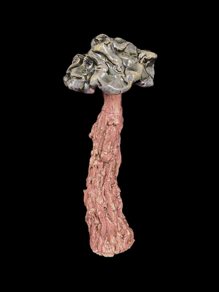 Объект из серии "fantastic mushroom"