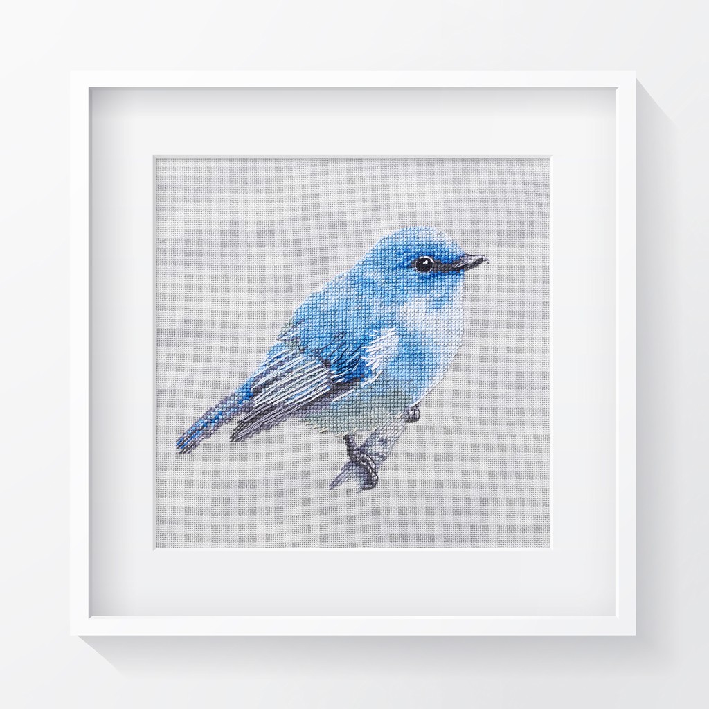 ГОЛУБАЯ СИАЛИЯ