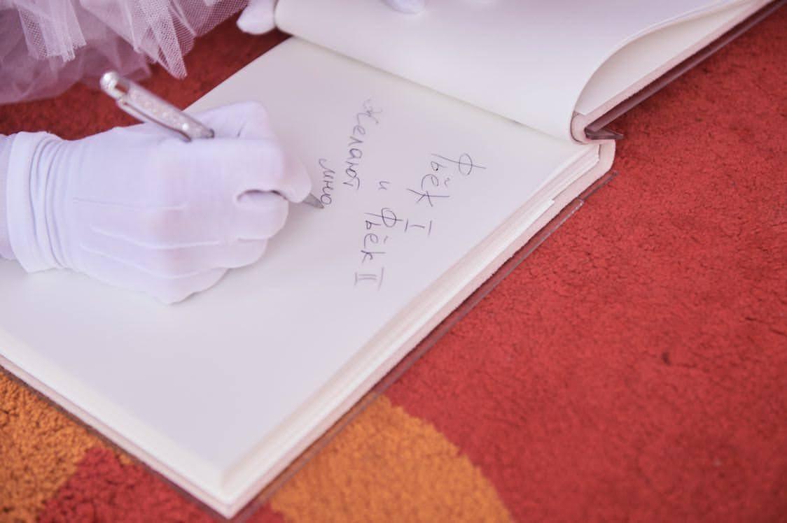 С РАСТИТЕЛЬНЫМ ОРНАМЕНТОМ 2 (ЛЮБОЙ ЦВЕТ БАРХАТА)