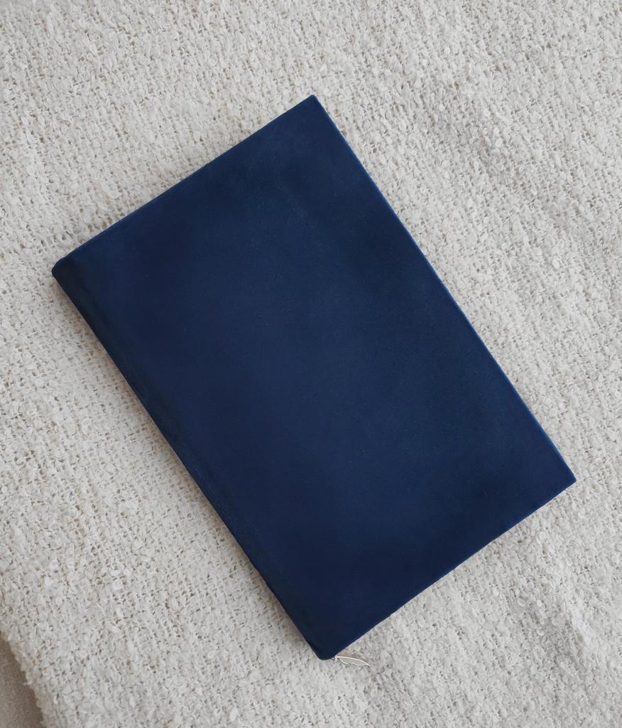 БАРХАТНЫЙ ЕЖЕДНЕВНИК,  СИНИЙ