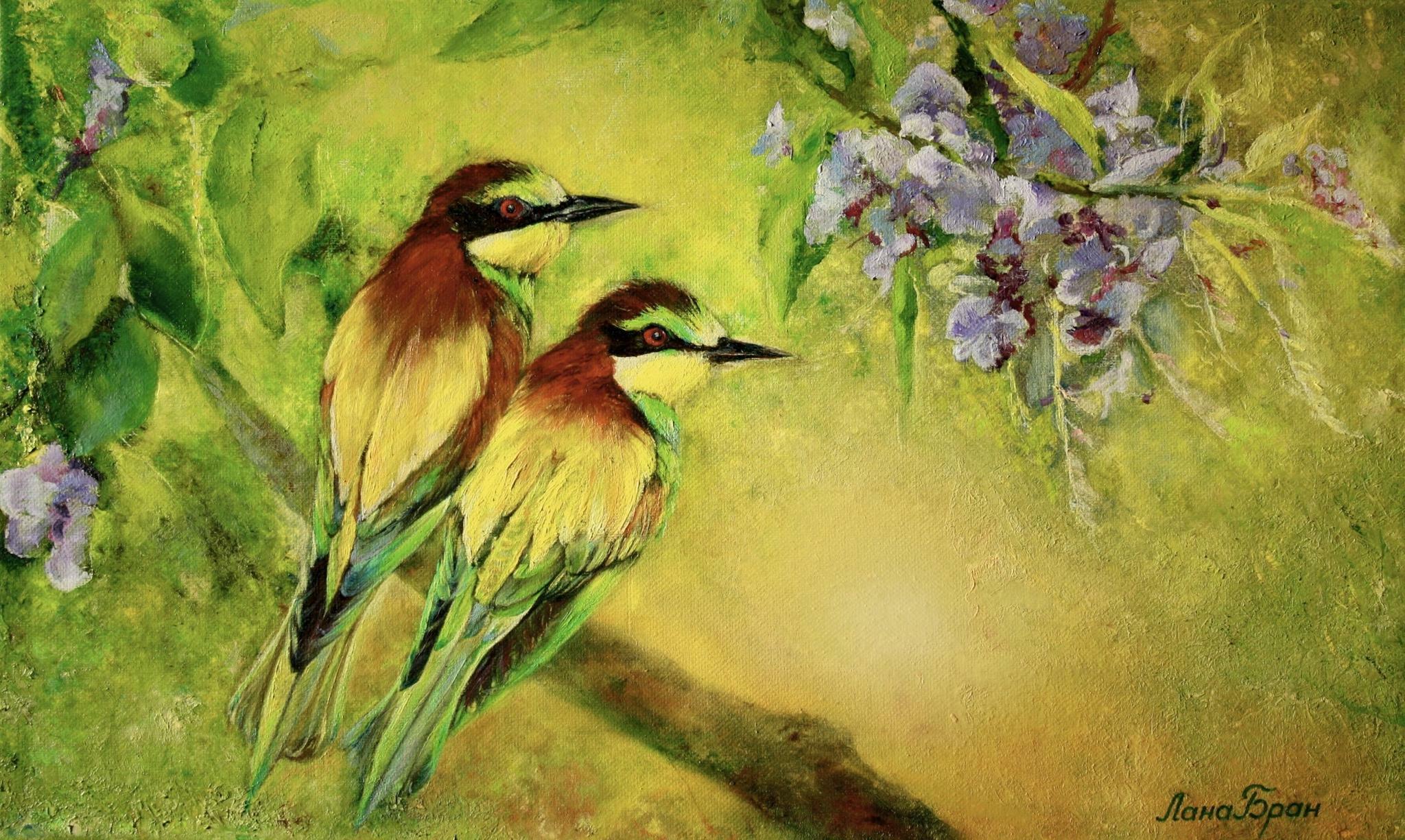 Lovebirds