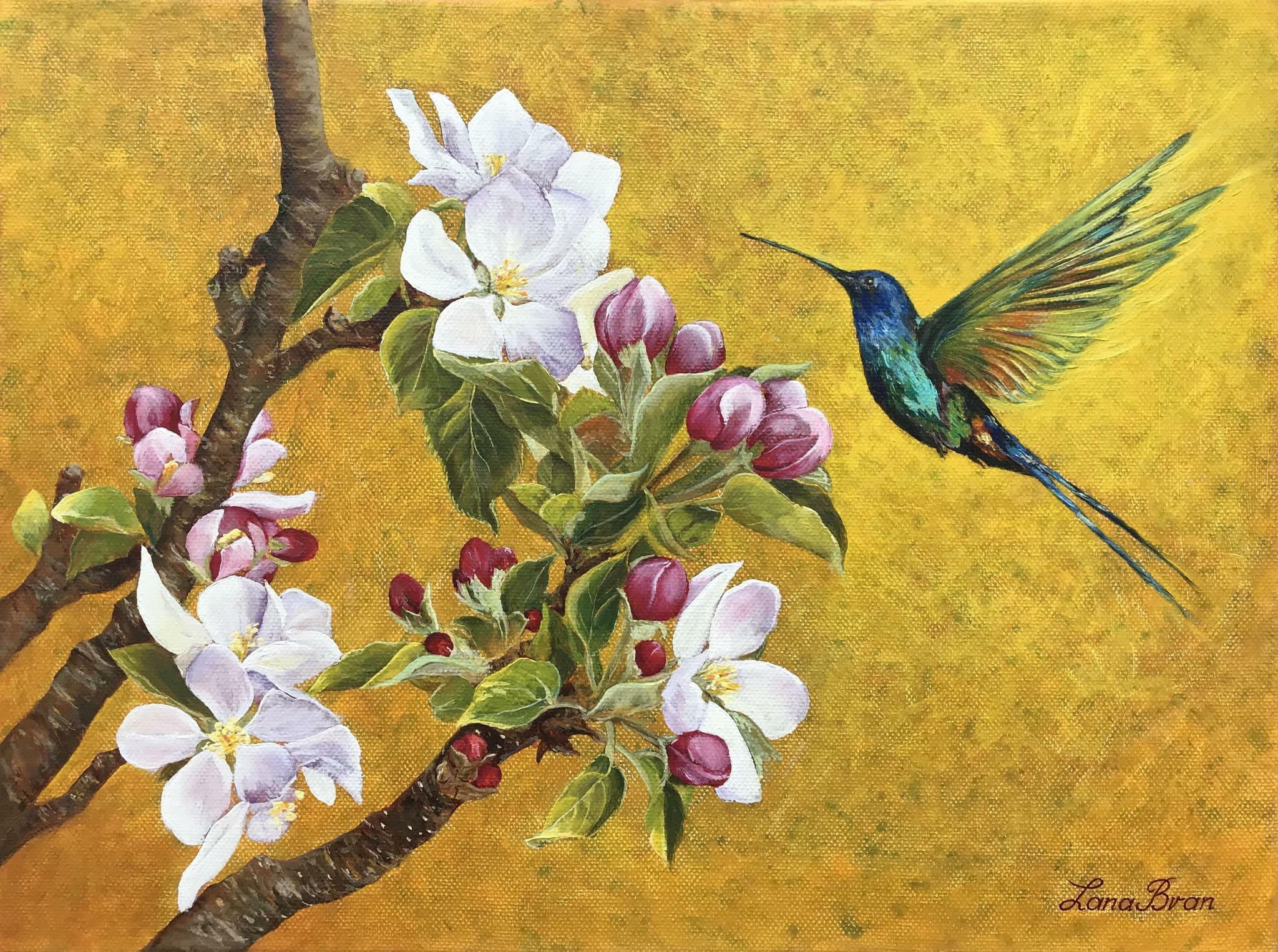 Flowers and hummingbirds