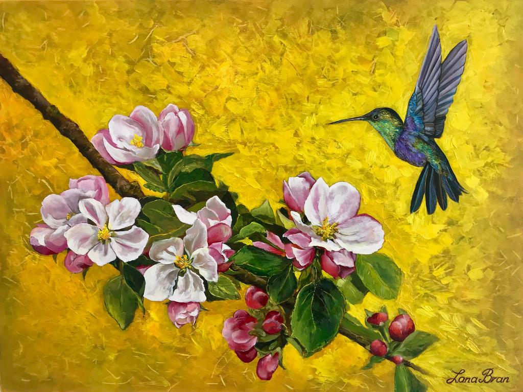 Scent of spring. Hummingbird