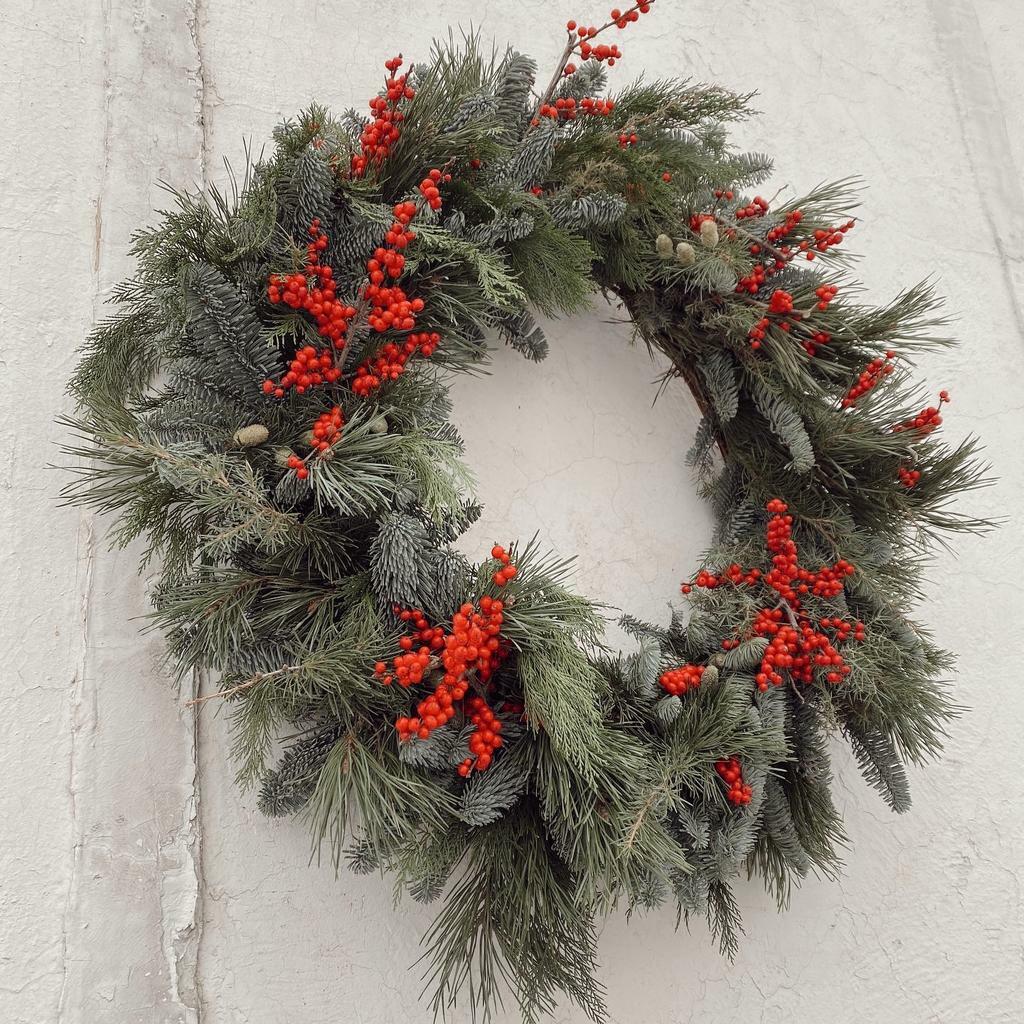 Хвойный лес с остролистом